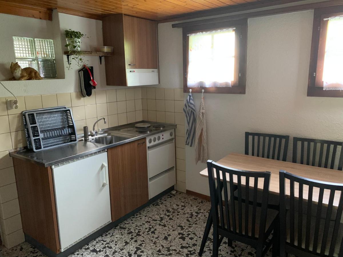 Naturnahe Wohnung Fur 1 - 4 Personen Бриенц Экстерьер фото